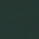 CASHMERE DOESKIN BLAZERS - Bottle Green Solid