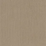 CORDUROYS & MOLESKIN - Beige 11 Wale Corduroy