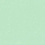 CASHMERE DOESKIN BLAZERS - Mint Solid