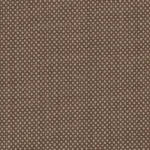 PERENNIAL CLASSICS - Tan Birdseye