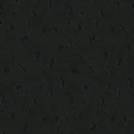 MASQUERADE - Black Cheetah Jacquard
