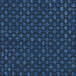 CRYSTAL SPRINGS - Blue Birdseye